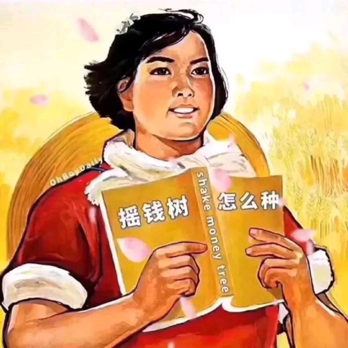 炒馍花丶