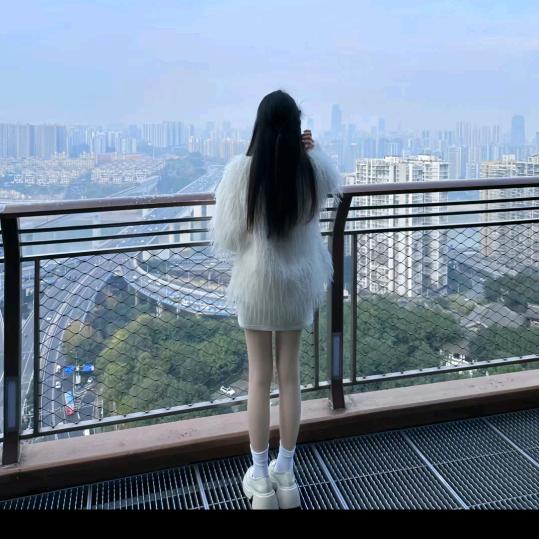 乌梅子酱