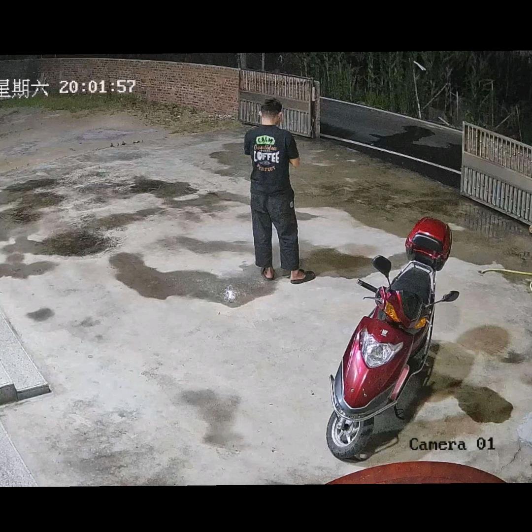 ᰔᩚ.镁毒鲨
