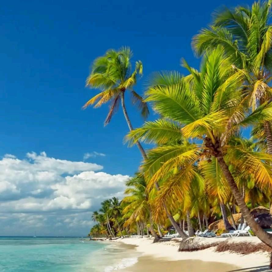 王天亮（三弟）