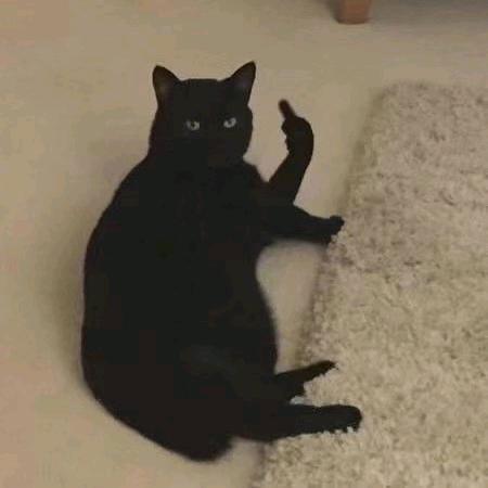 别抢我的鸭脖！