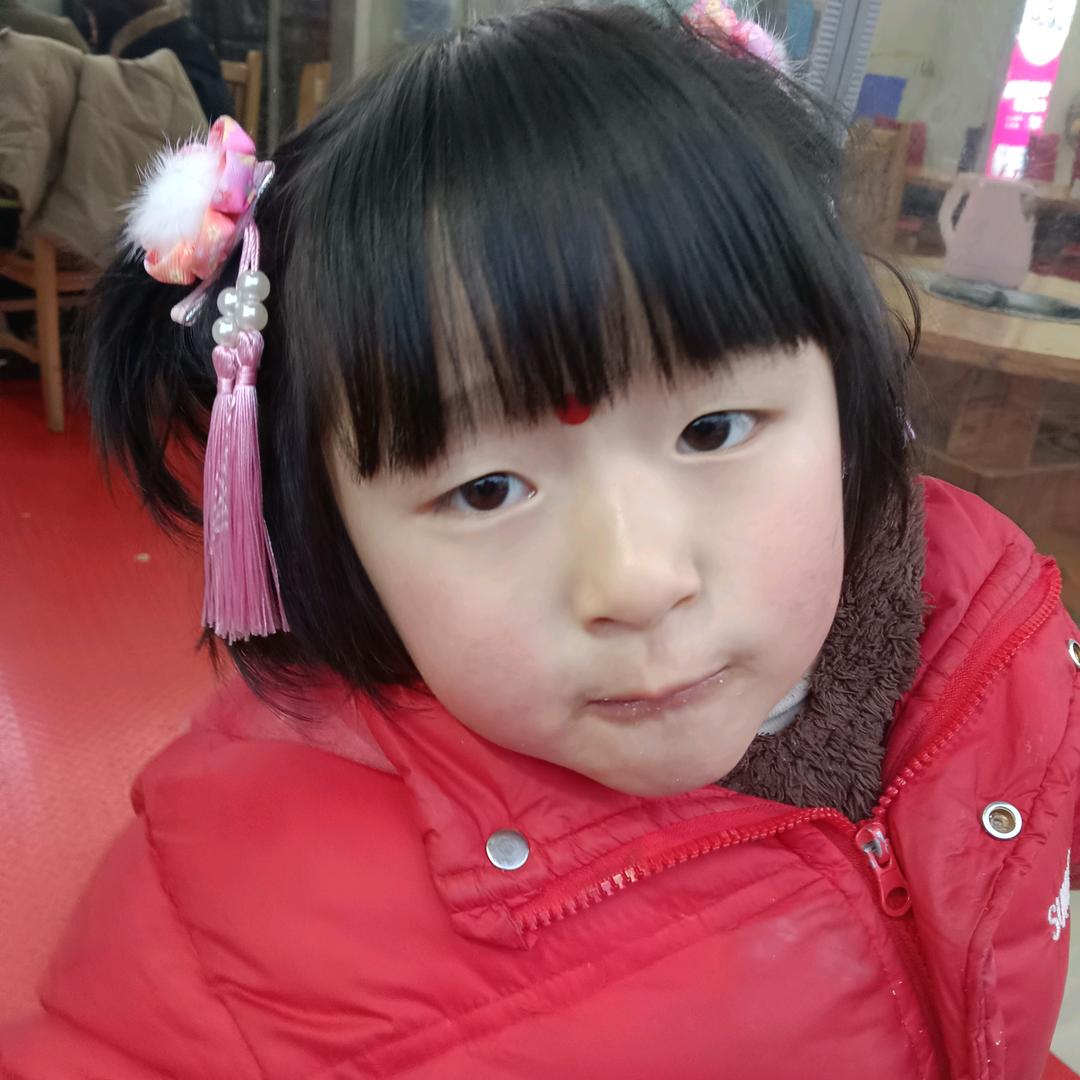 庆香阁野菜火锅