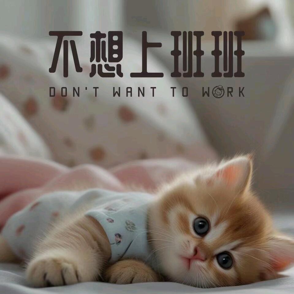 ✨️执💞念✨️