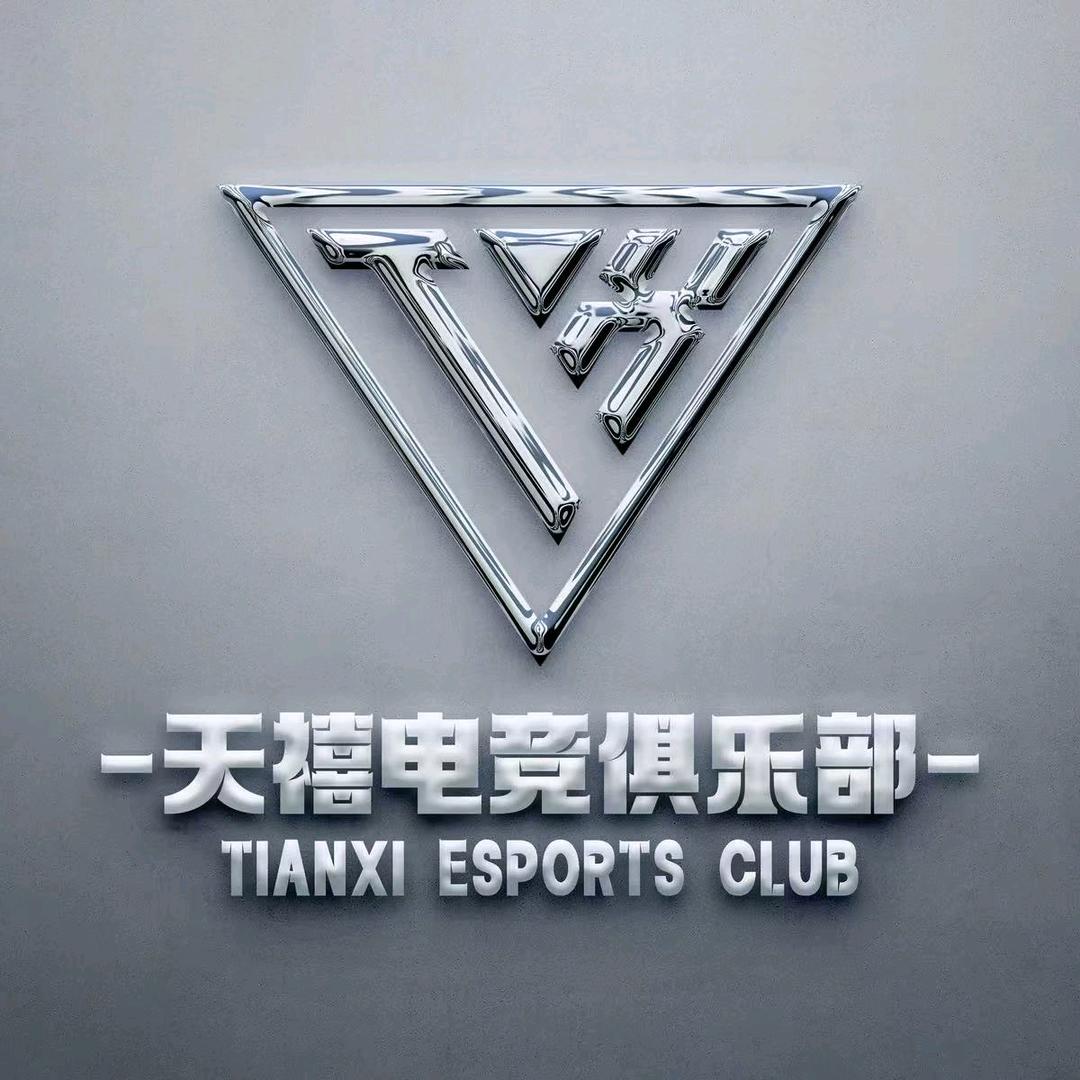 天禧电竞（三角洲行动）