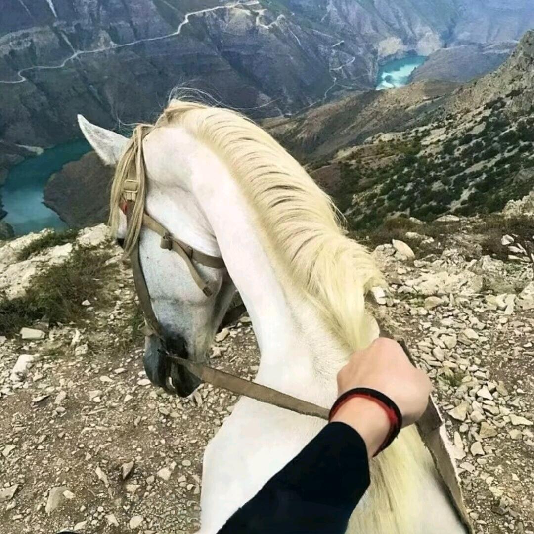 多诺 དོ་ནོ