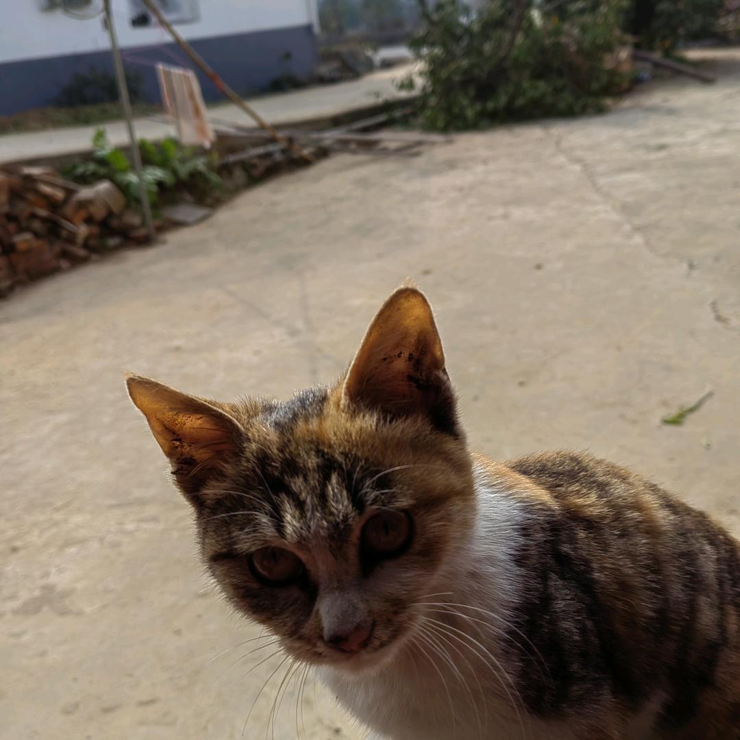 大宜都兜福烤串