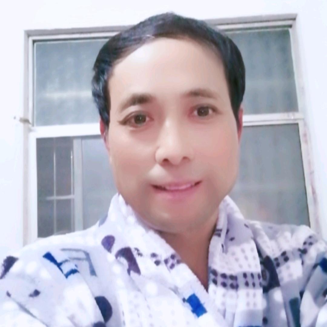 杨团新号