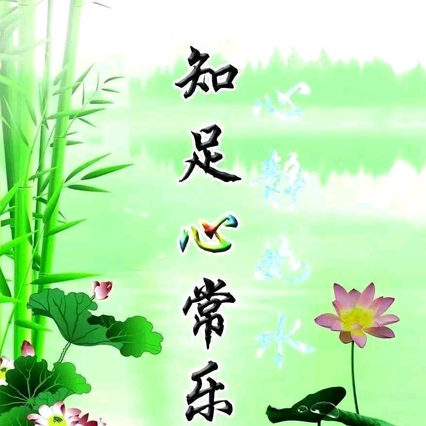 从头再来