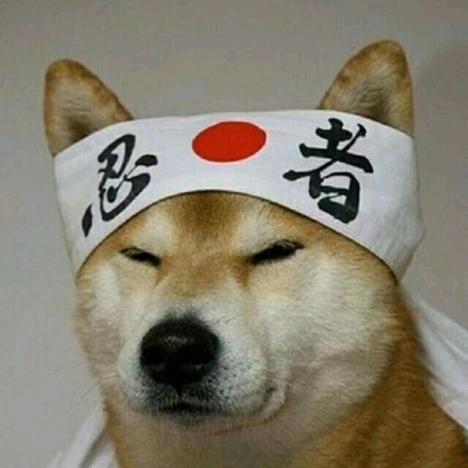 菠萝
