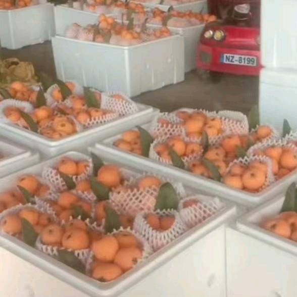 怀念啊我们的青春啊