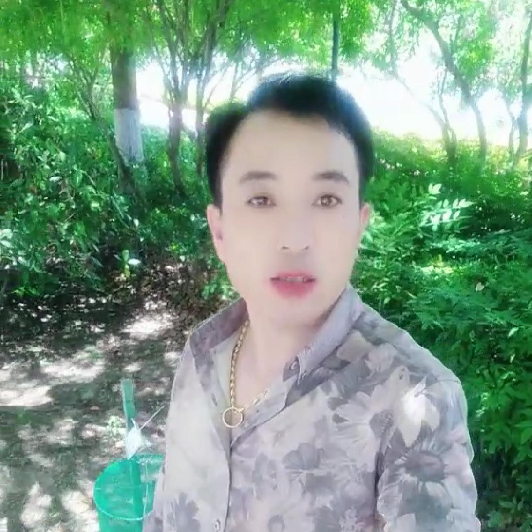 松江小杨