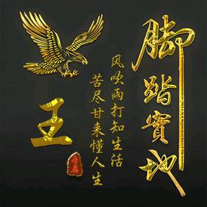 定汶好物