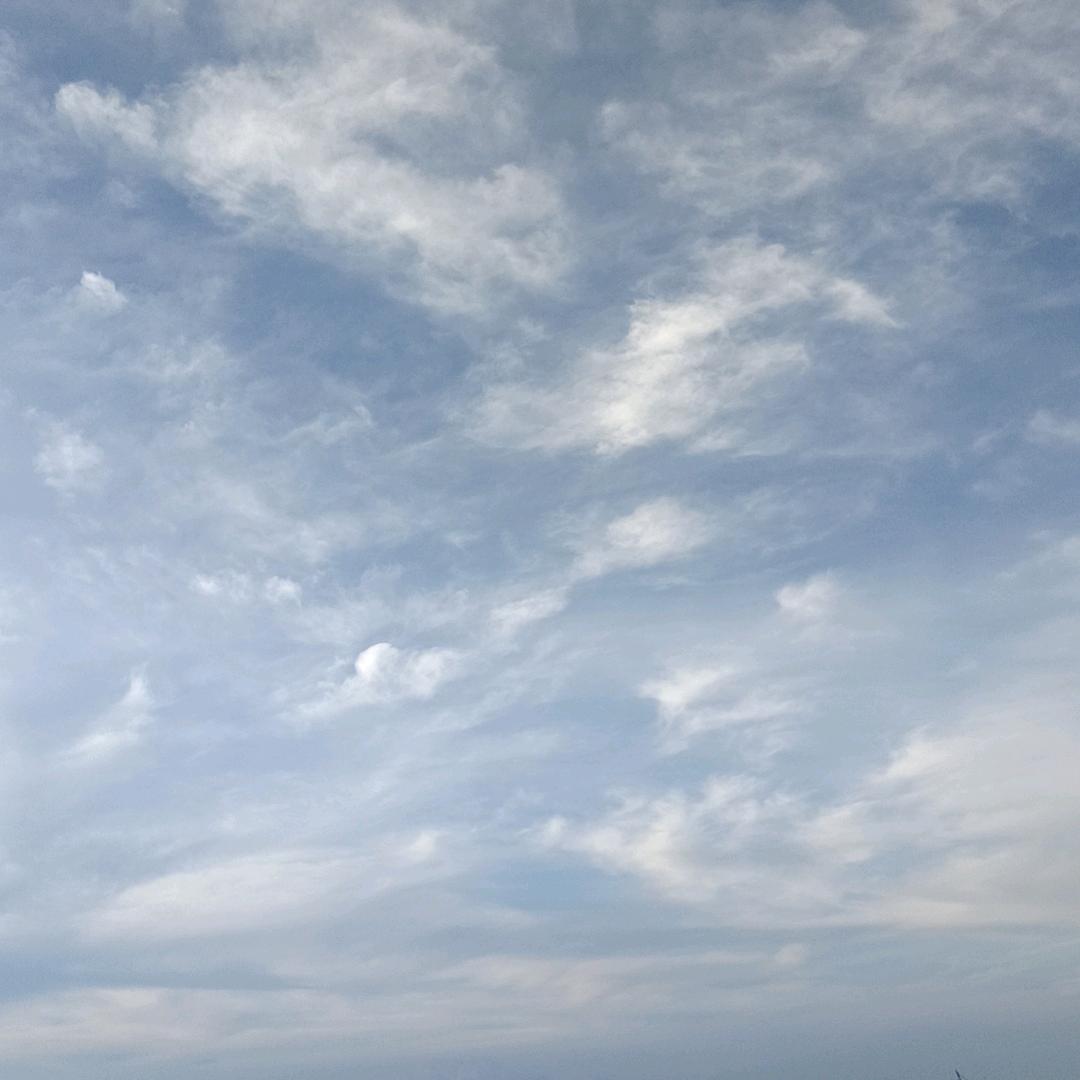 心弦已断