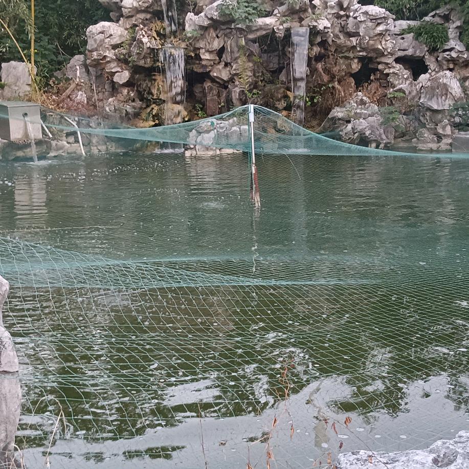 春暖花开6411975876456