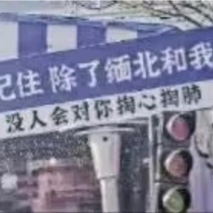蓝鲸77