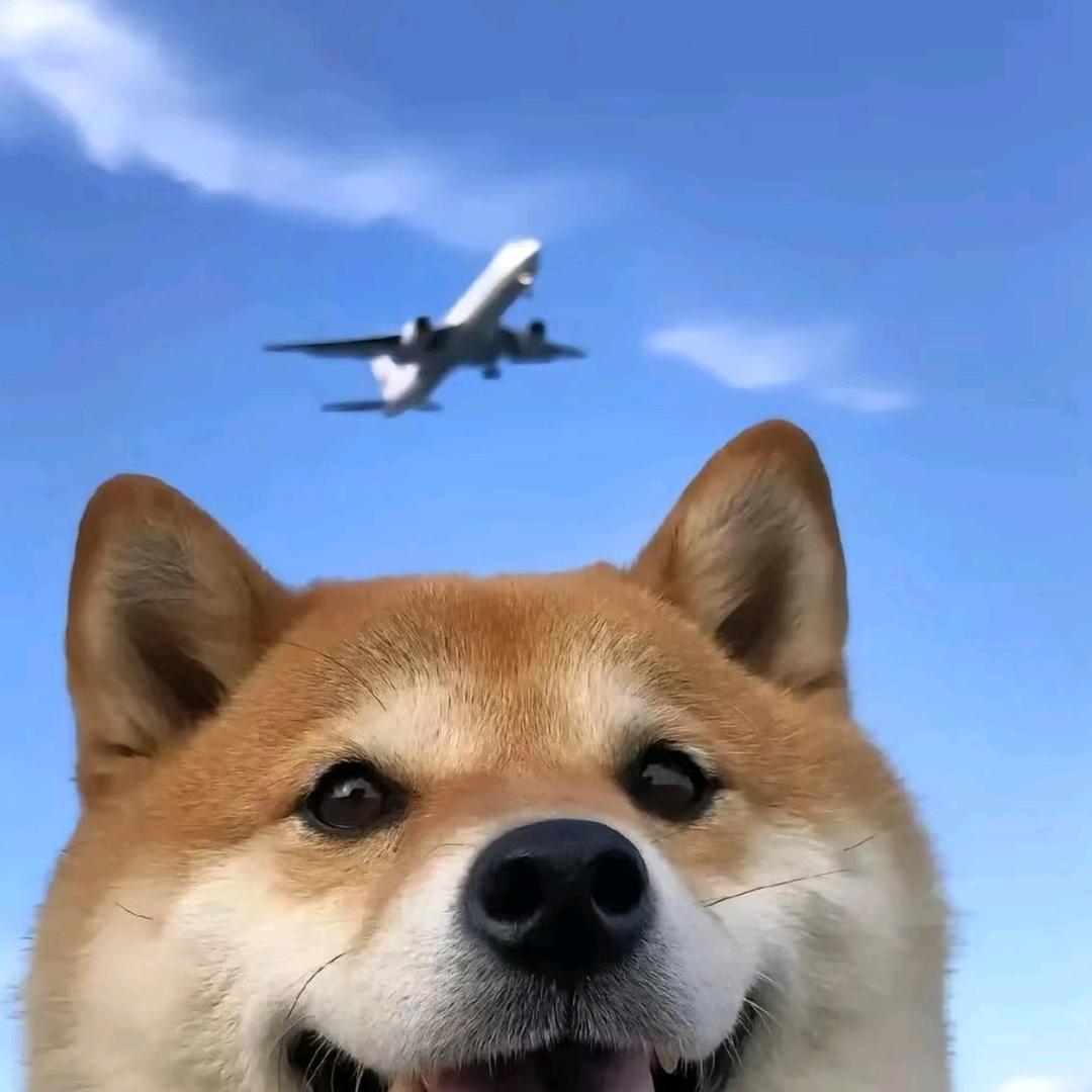 瑞か乐