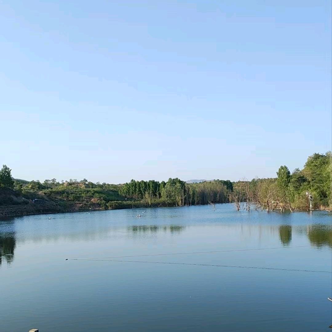 行唐县神树湾水库、专注钓鱼