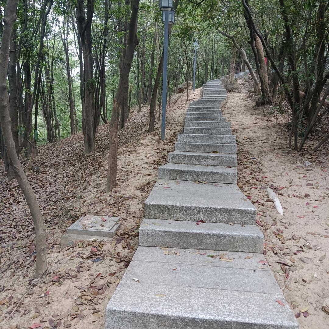 Mc小鱼儿