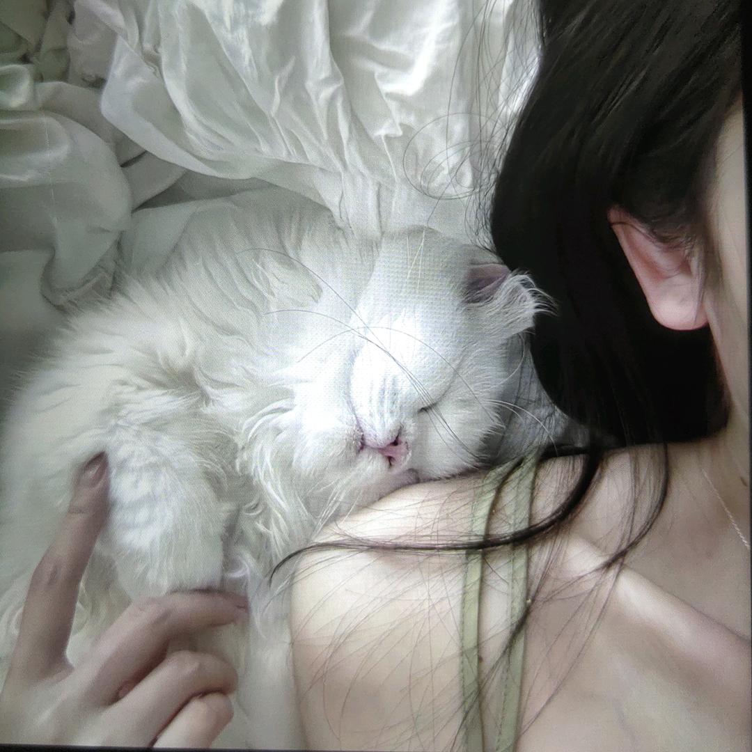 农村人繼嚄。&：