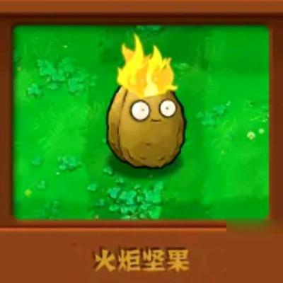 植物大战僵尸（臭脚版）
