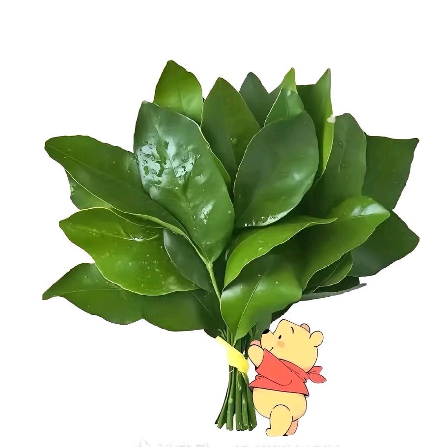 微ö