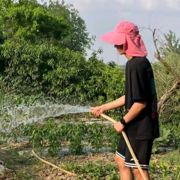 秋哥说番茄