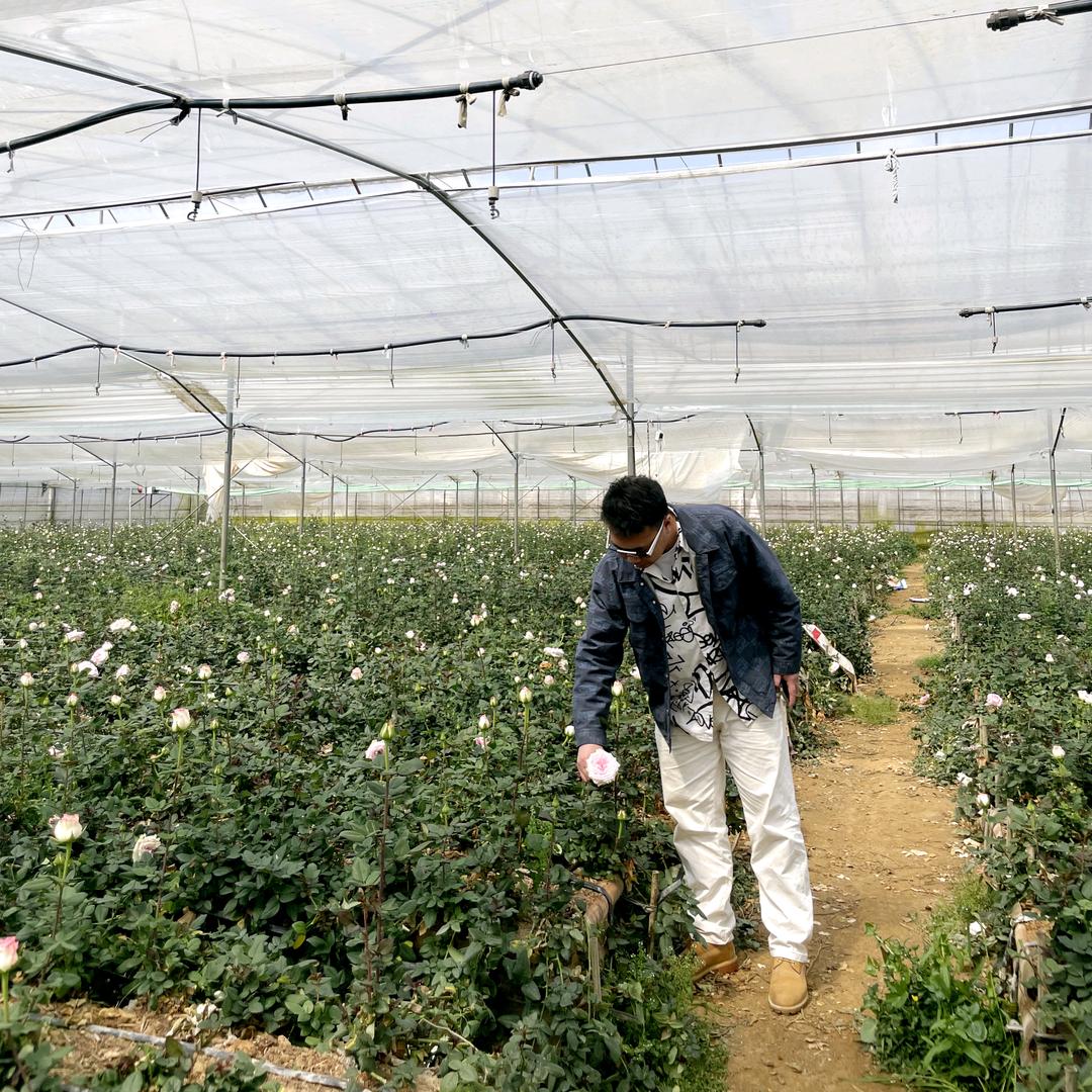 王的花卉生活坊