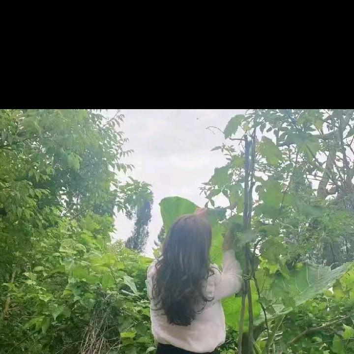 余生与🌈欣欣不忘初心 老五（6608