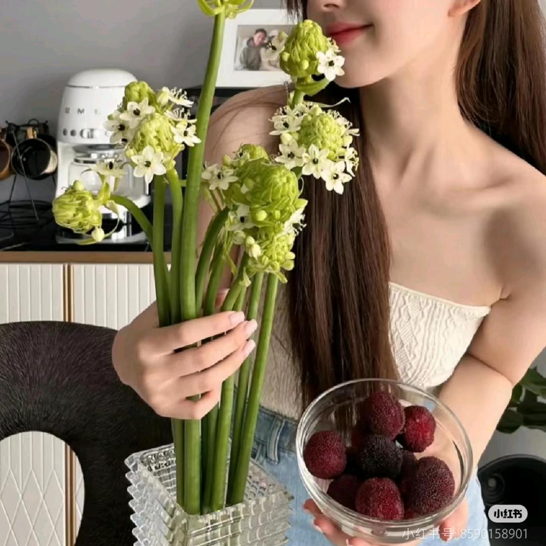 枯叶蝶