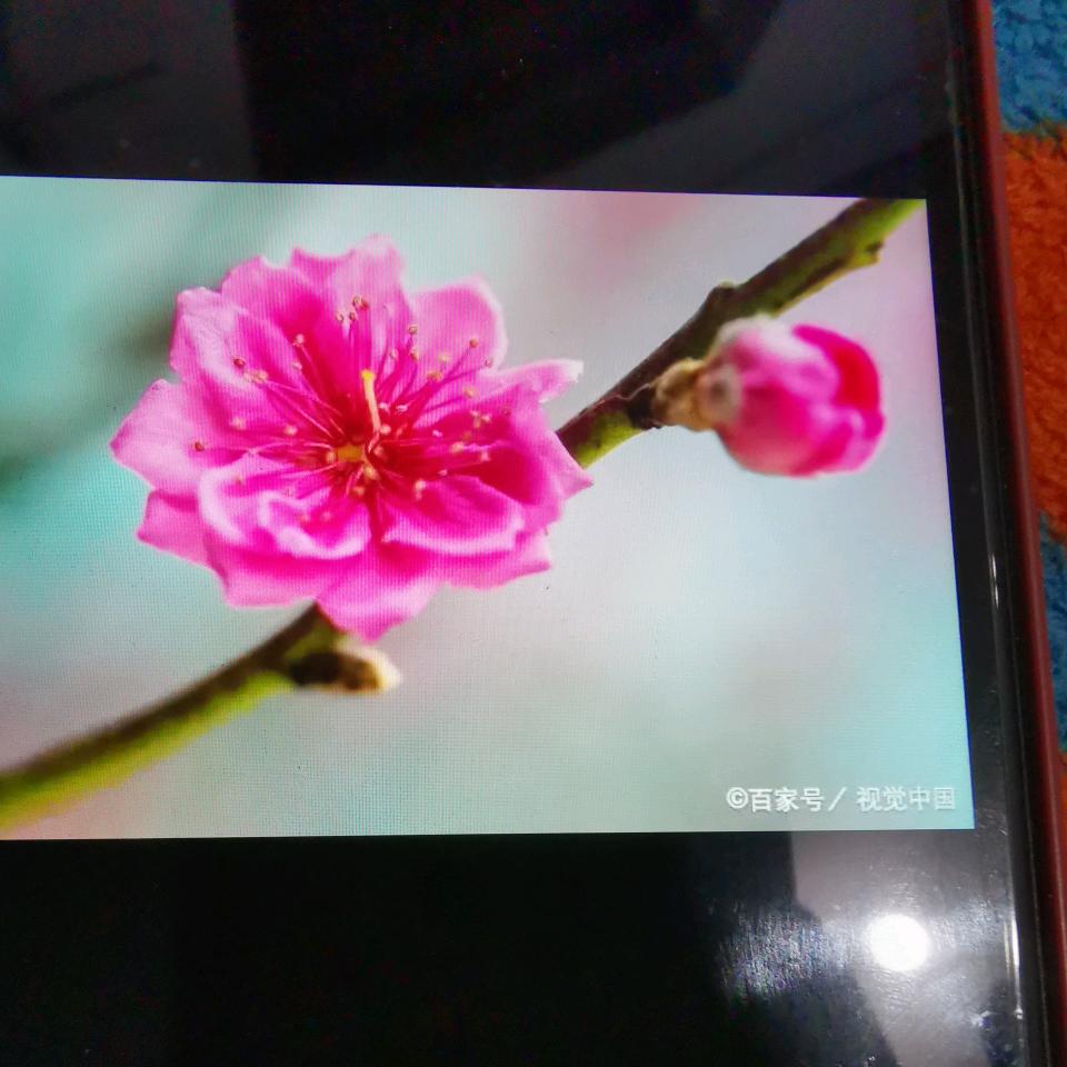 用户26300865
