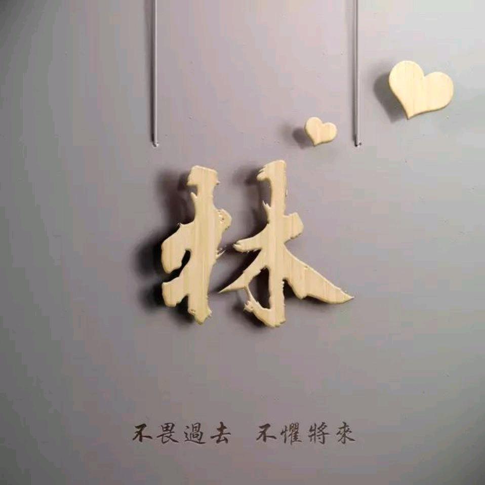 A老林