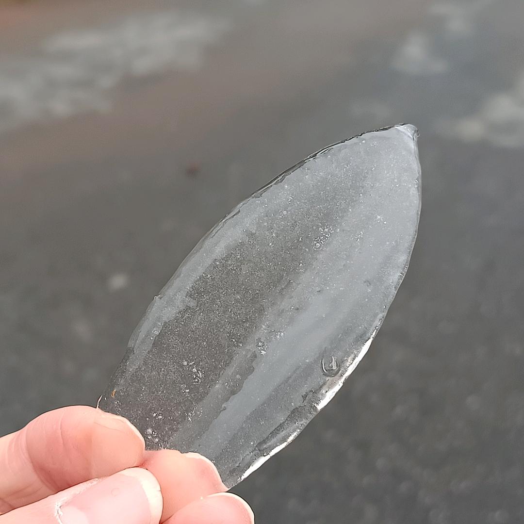 玫瑰情缘