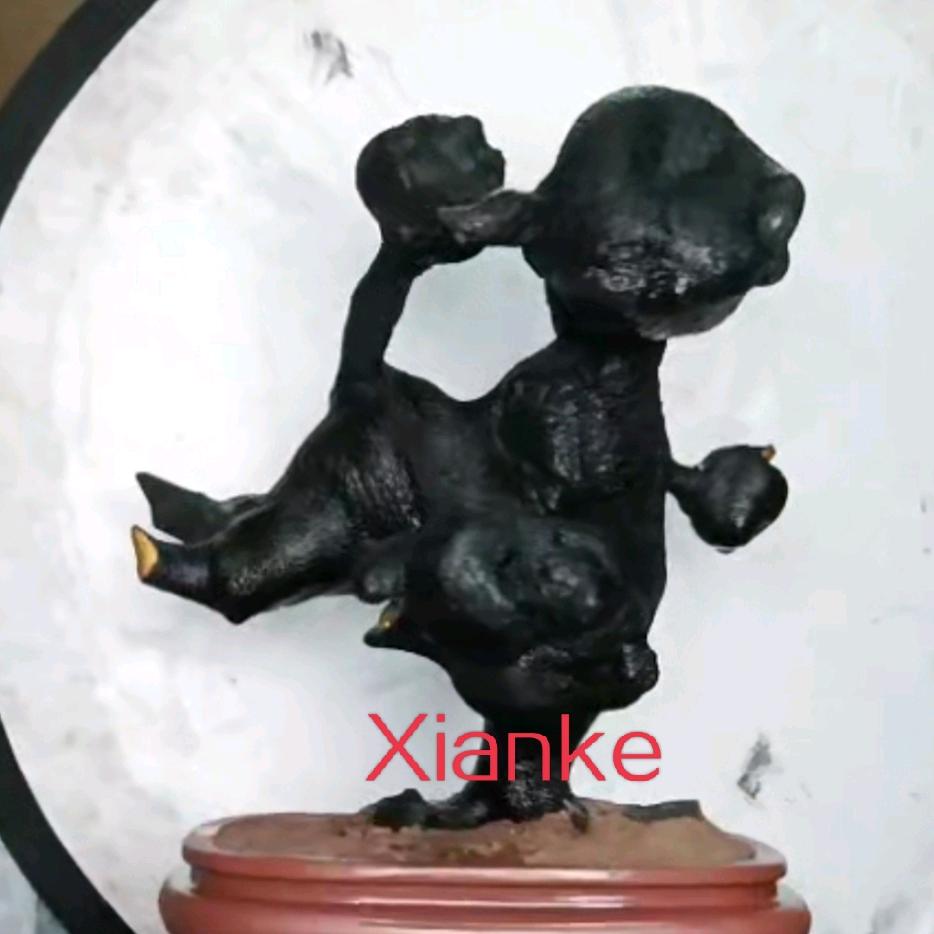 卍何情就谢