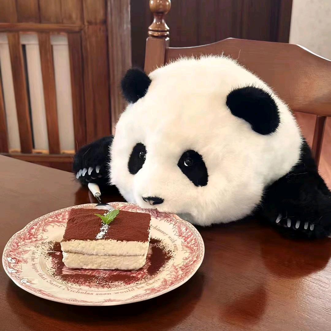 小海狮