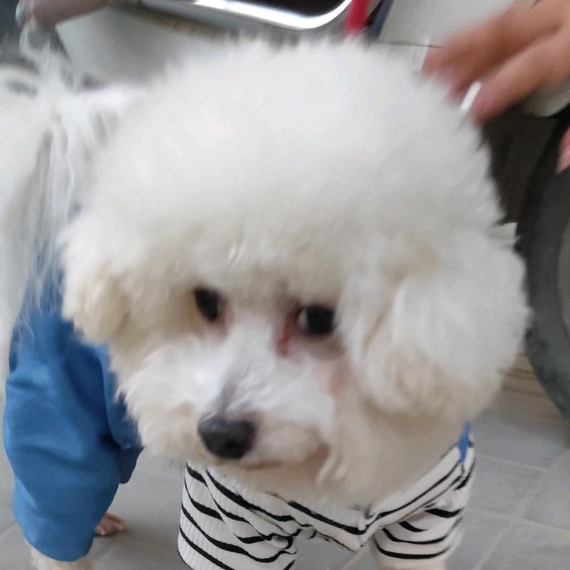 哈哈哈(ಡωಡ)hiahiahia