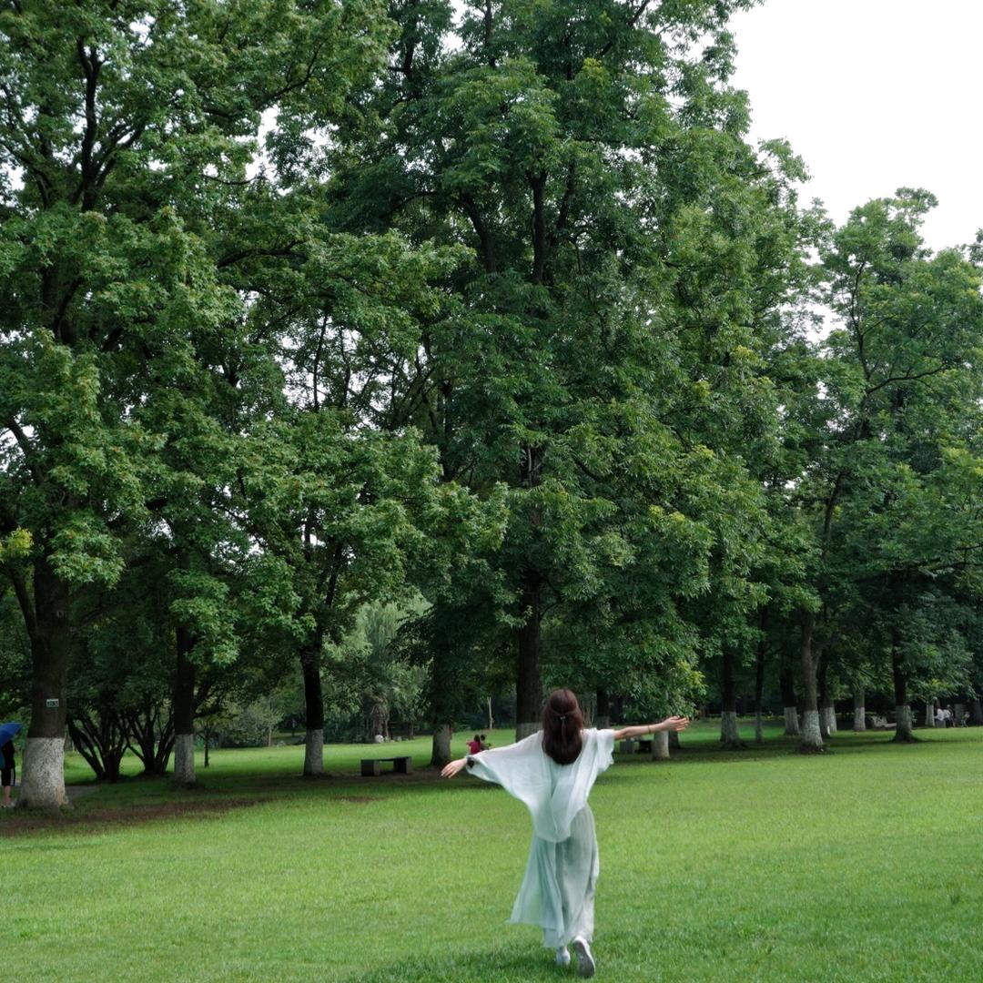 香蕉不呐呐