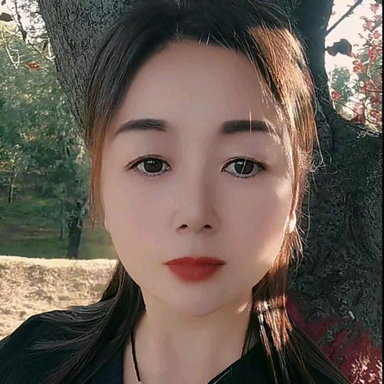 冰心