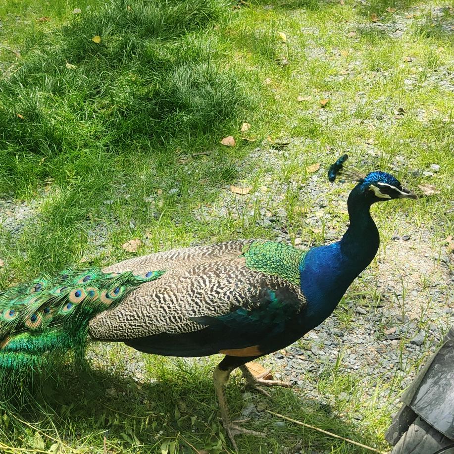 💰༺💰币定໊ཀྃ翻身এ᭄