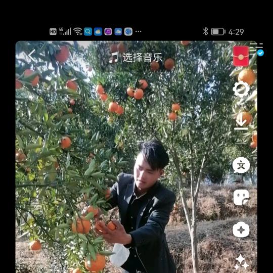 (＠^∇往（王）事清零∇^＠)