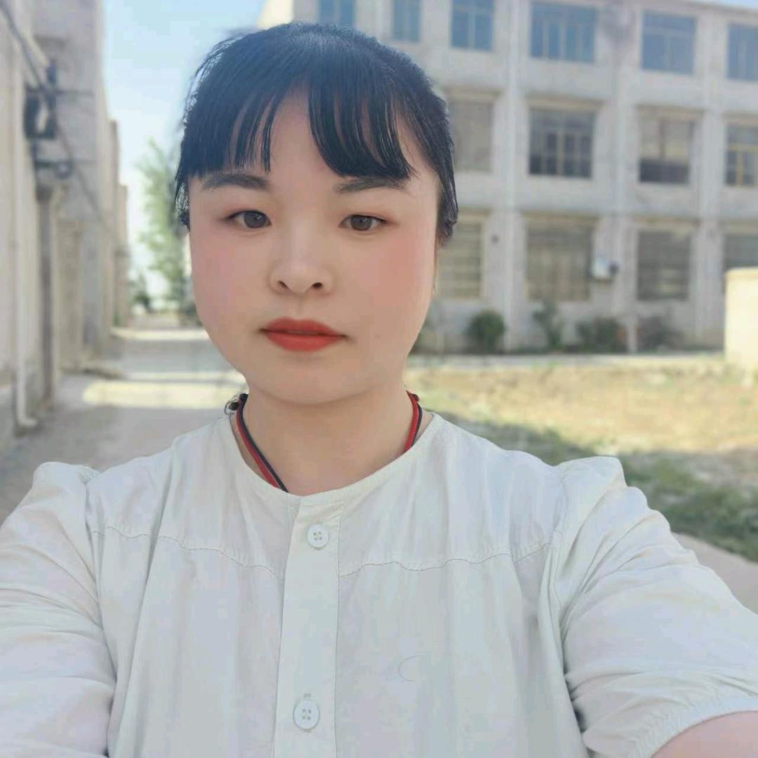 小橘猫