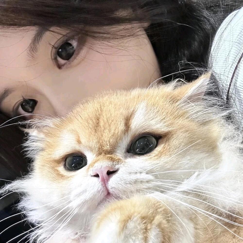 小蜂蜡