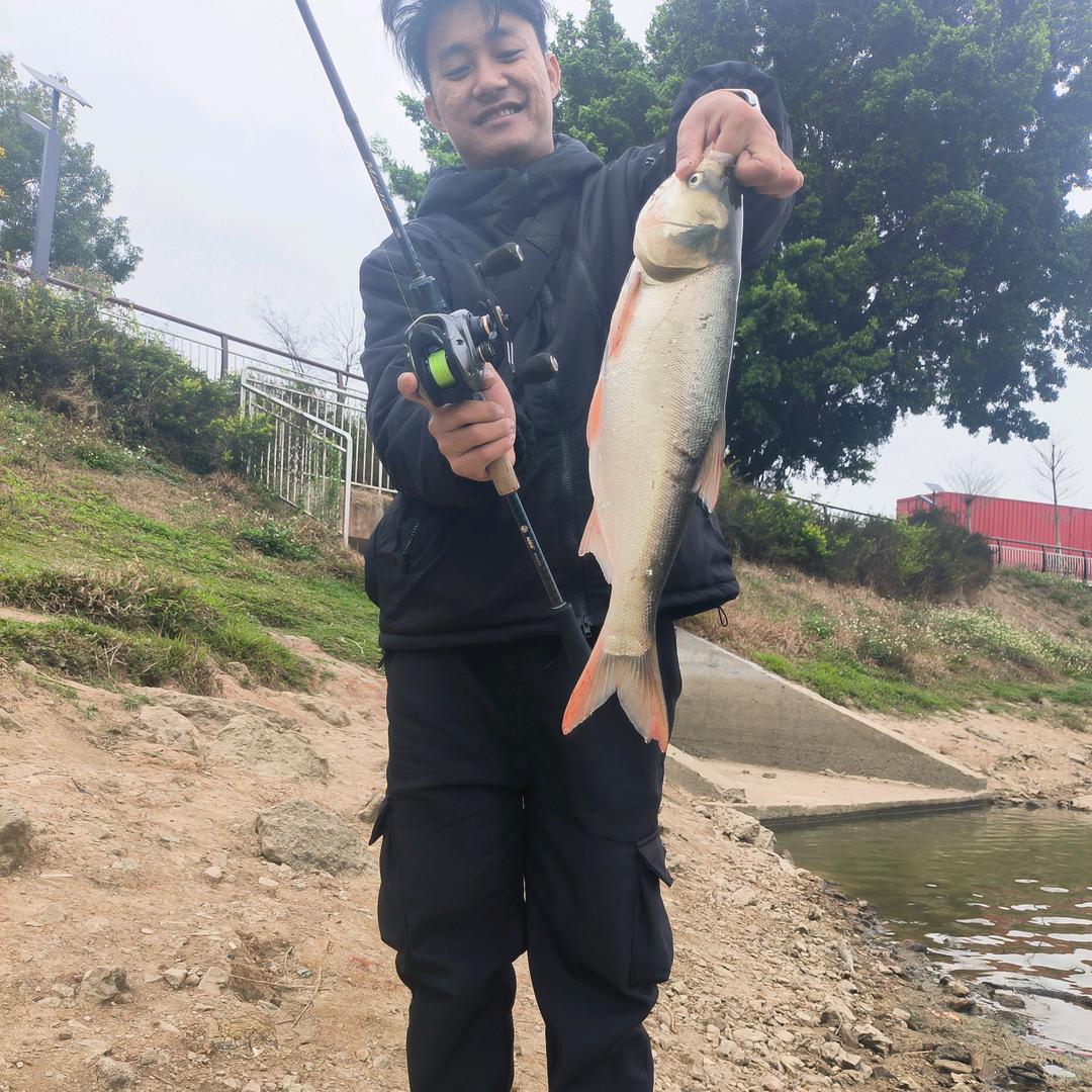 混吃等死的梦想