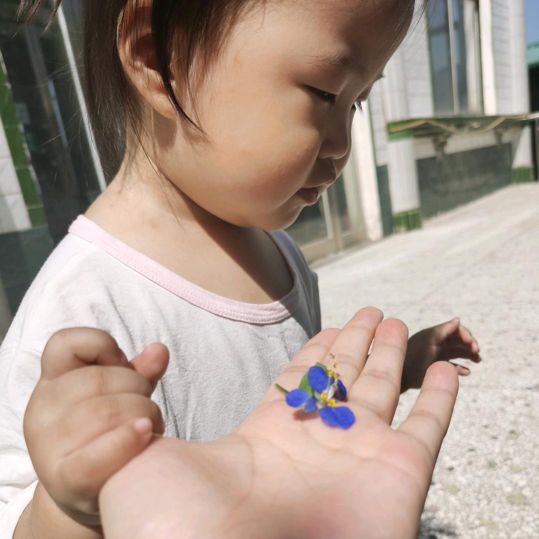 蕾拉lyla
