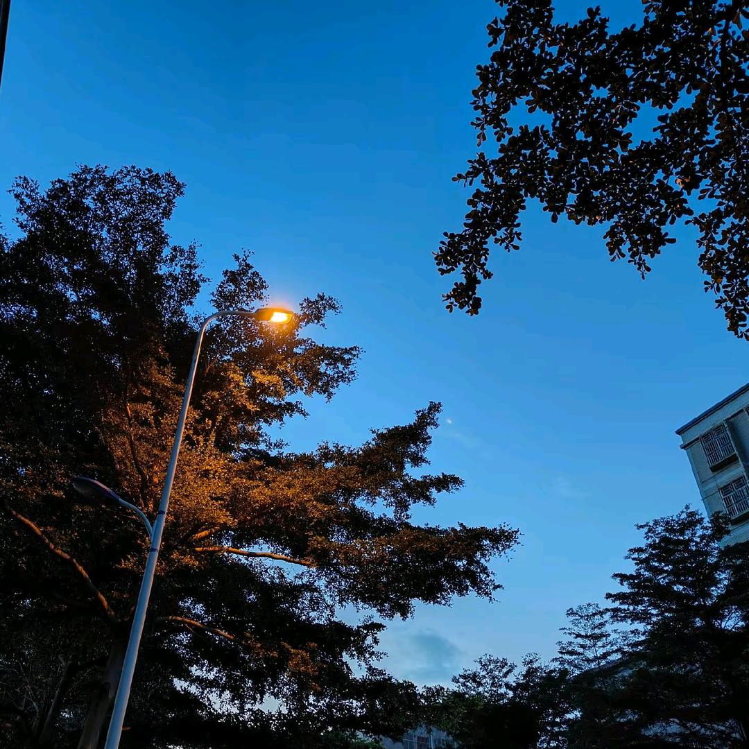 GuaNg丶♋