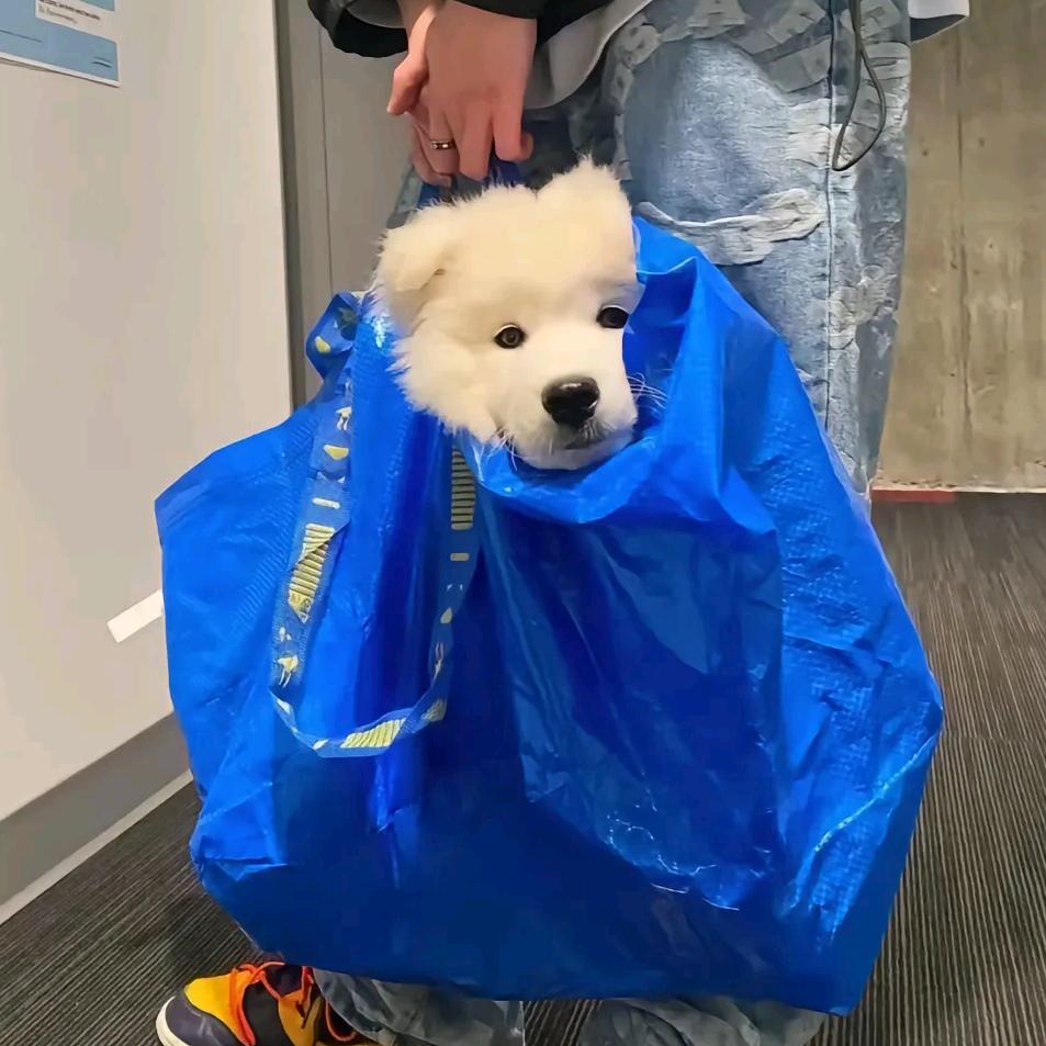 香薇户外用品