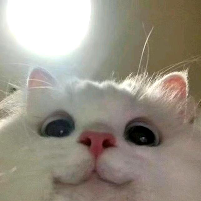 柠檬好苏啊