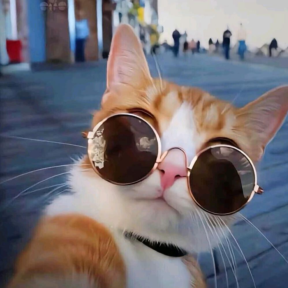 🌈小透明。