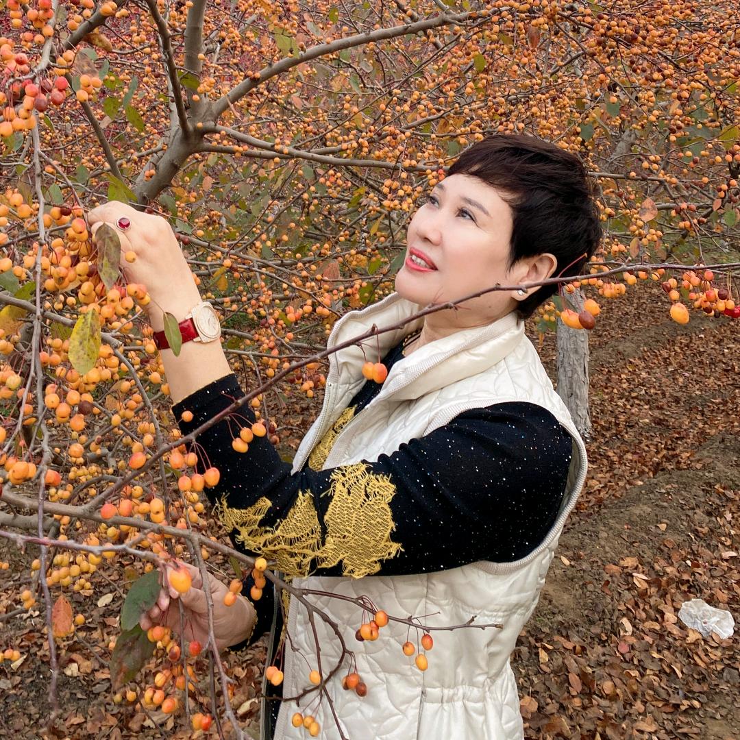 龙凤呈祥