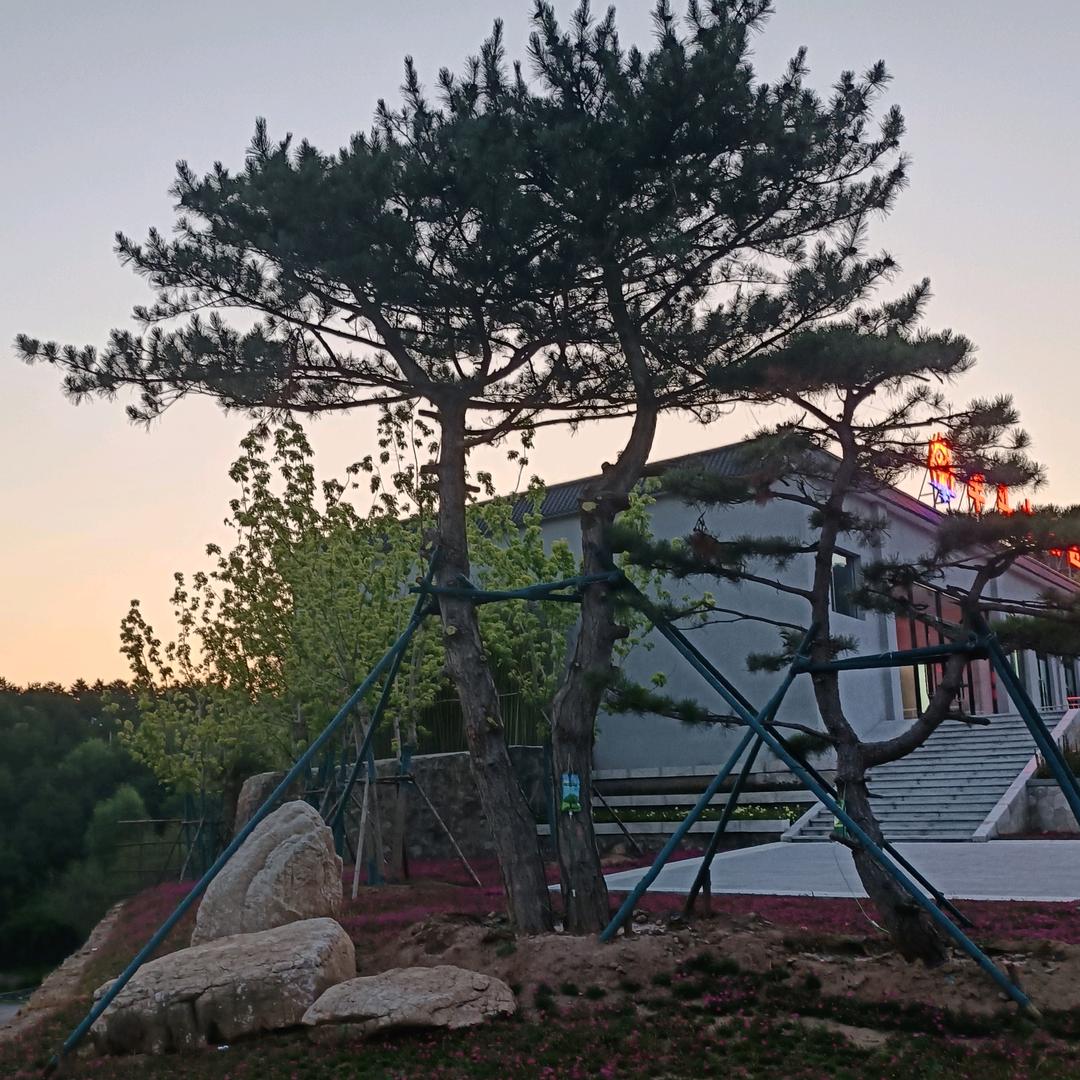 车检保护(特使)