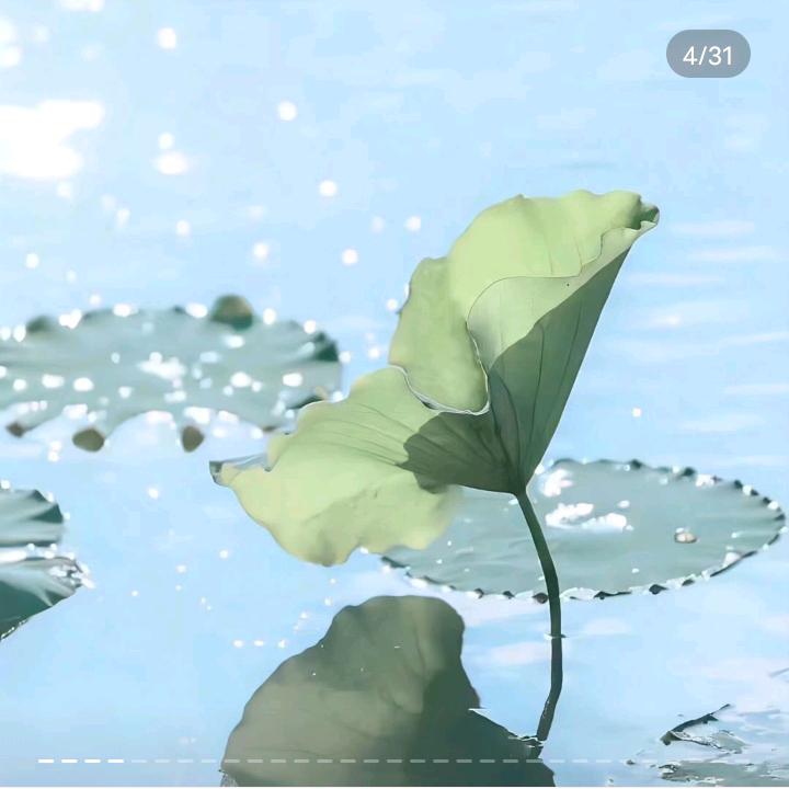 《棉花娃娃》*^O^*